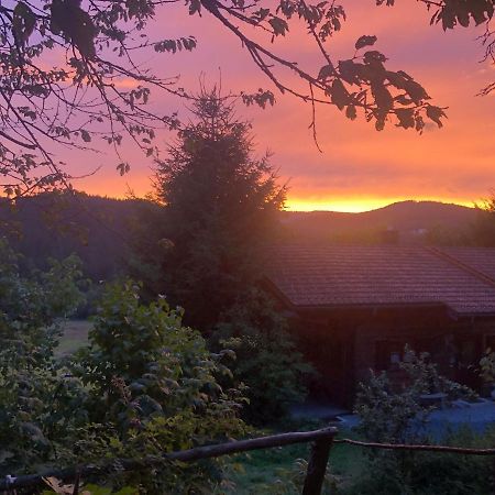 Ferienhaus Schlagintweit Drachselsried Luaran gambar