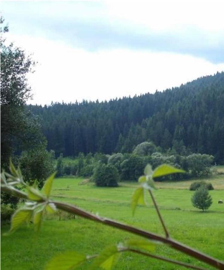Ferienhaus Schlagintweit Drachselsried Luaran gambar